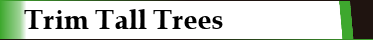 Trim Tall Trees Trim Tall Trees