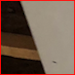 Edmonton Ceiling Refinishing - 1 (833) 724-6880