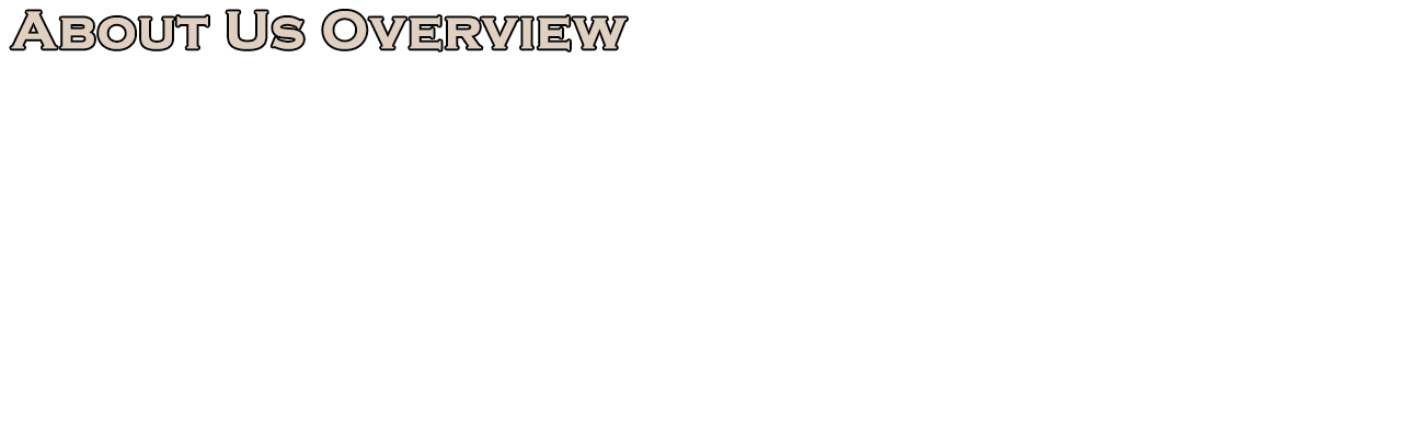 About us Overview | P Diana and Sons Ice House
