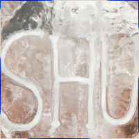 Ice Sculpture | P Diana and Sons Ice House