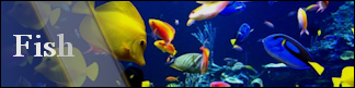 Petwarehouse Fort Wayne - Pet Care for Fish and Reef