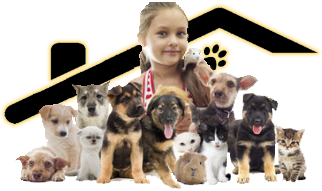 Petware House Fort Wayne Indiana