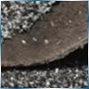 Royal Peaks Roofing | Roof Deterioration
